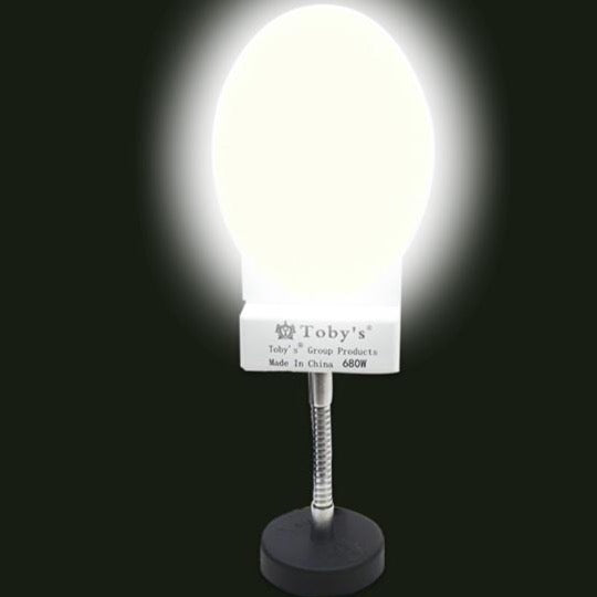 COB LED Oval Shape White Light (Toby's)