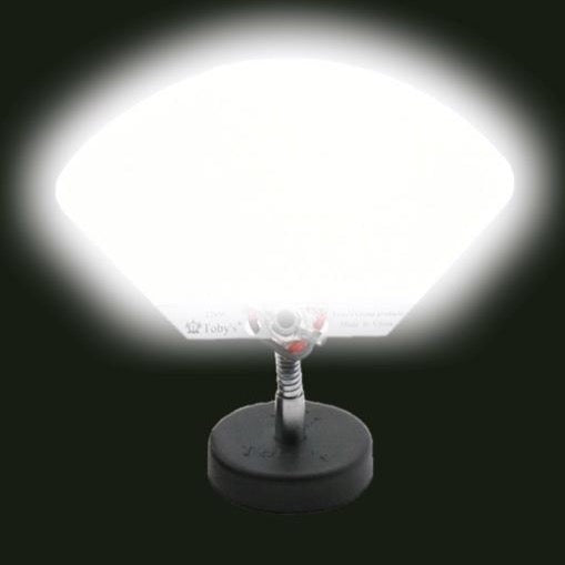 COB LED Sector Shape White Light (Toby's)